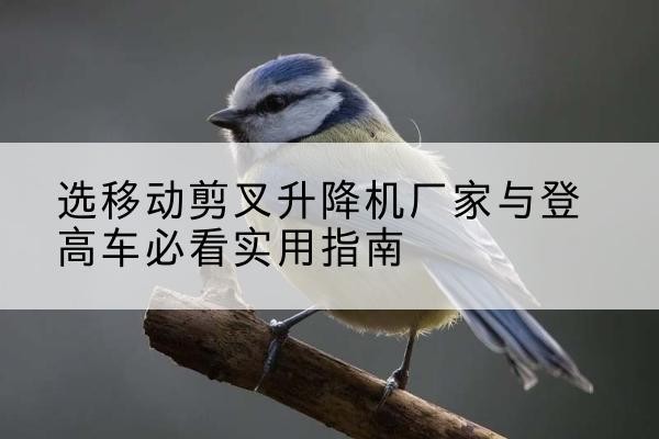 衡南电动升降机厂家-选移动剪叉升降机厂家与登高车必看实用指南