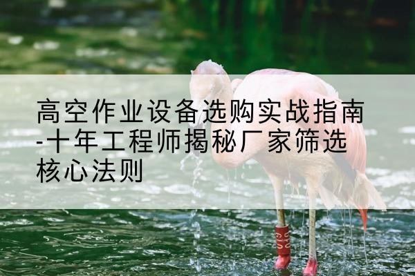 衡南剪叉式升降机厂家-高空作业设备选购实战指南-十年工程师揭秘厂家筛选核心法则