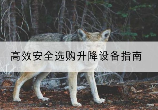 衡南升降货梯厂家推荐-*安全选购升降设备指南