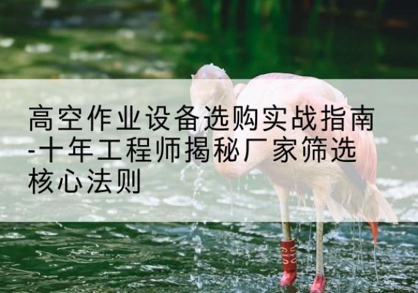 衡南剪叉式升降机厂家-高空作业设备选购实战指南-十年工程师揭秘厂家筛选核心法则